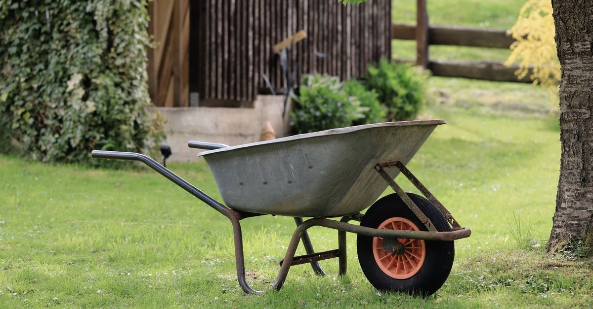 Gartengeräte richtig auswählen: Mit den passenden Helfern wird Gartenarbeit zum Vergnügen