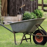 Gartengeräte richtig auswählen: Mit den passenden Helfern wird Gartenarbeit zum Vergnügen
