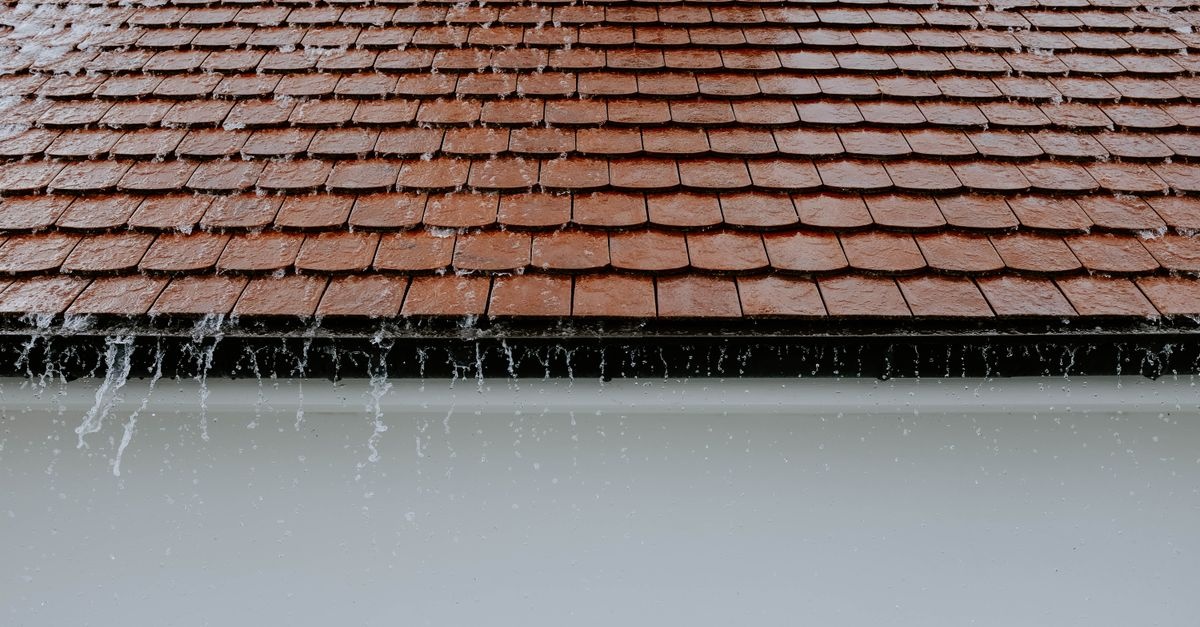 Regenwasser richtig versickern: So wird Ihr Garten zum natürlichen Wasserspeicher