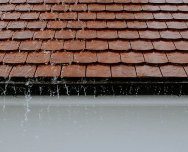 Regenwasser richtig versickern: So wird Ihr Garten zum natürlichen Wasserspeicher