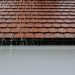 Regenwasser richtig versickern: So wird Ihr Garten zum natürlichen Wasserspeicher