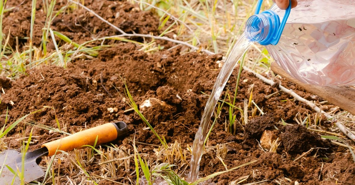 Schluss mit hartem Boden: So machst du deinen Garten wieder locker und lebendig
