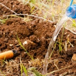 Schluss mit hartem Boden: So machst du deinen Garten wieder locker und lebendig