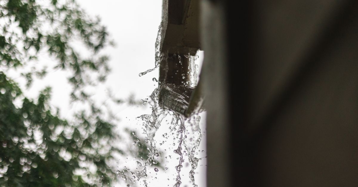 Regenwasser clever vom Dach ableiten: Nachhaltige Lösungen für Garten und Haus