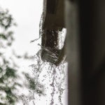 Regenwasser clever vom Dach ableiten: Nachhaltige Lösungen für Garten und Haus